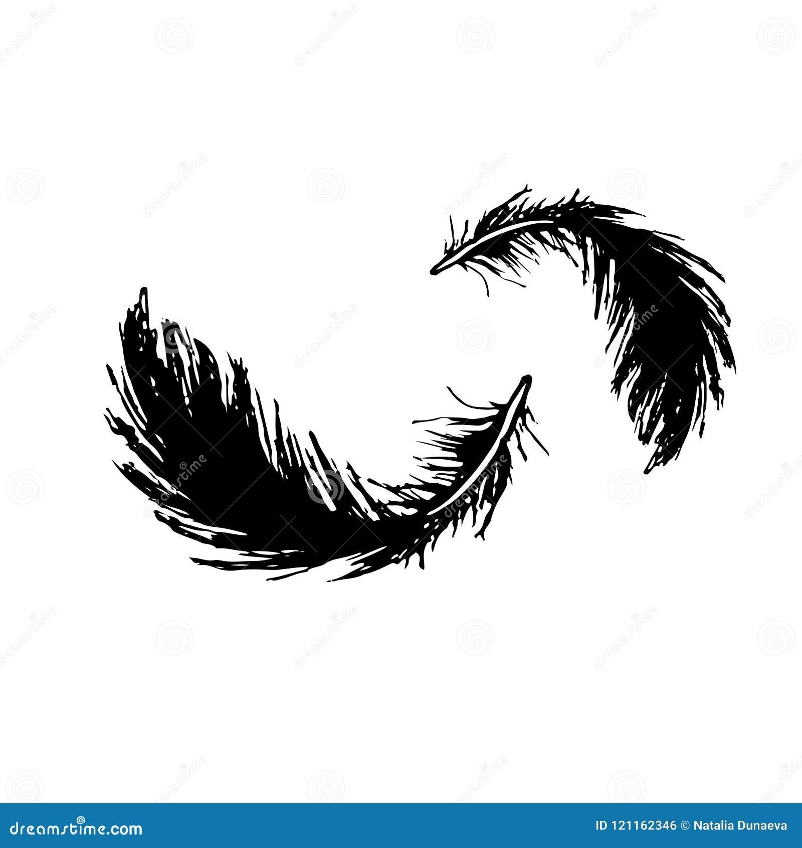 feather bird drawing Ãâ¬attern ÃÂ°eathers set